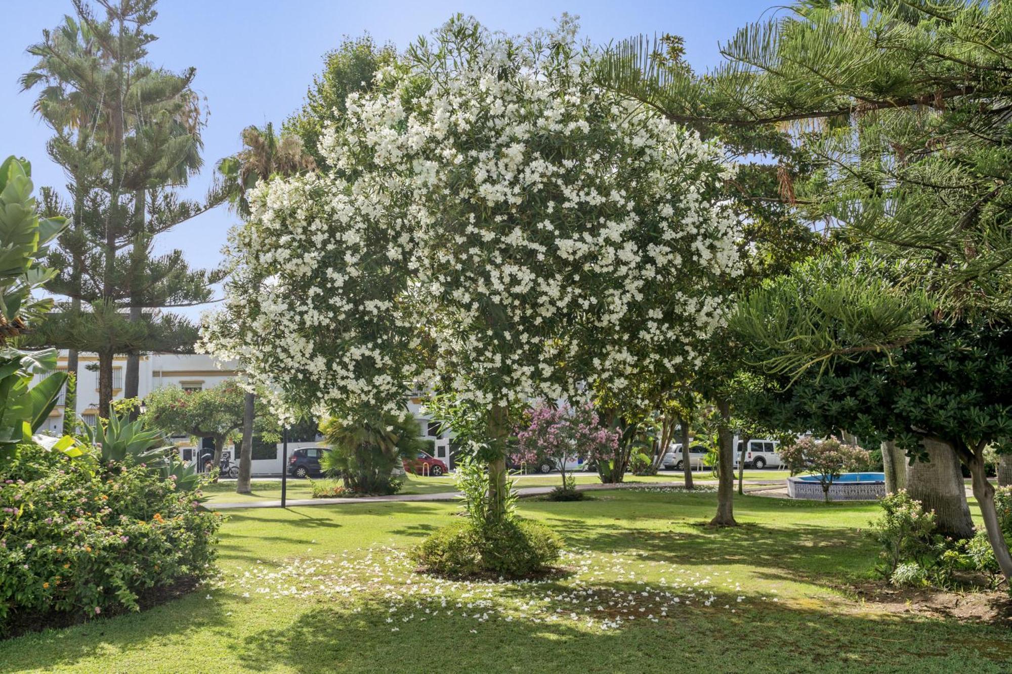 Casa Adriana Hébergement de vacances *